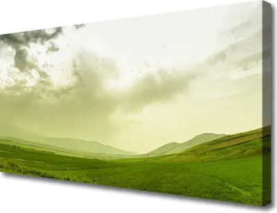 Produktbild von Tulup Leinwand-Bilder 100x50 Wandbild Canvas Kunstdruck Wiese Natur