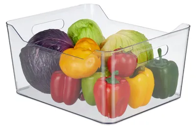 Kühlschrank-Organizer 18x37x29,5 cm transparent mit Griff