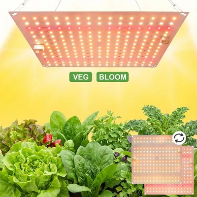 A grow light illuminating a variety of plants.