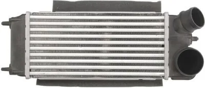 Obrázok produktu pre THERMOTEC DAG014TT Chladič preplňovaného vzduchu LLK pre FORD Fiesta Mk6 hatchback (JA8, JR8) Turbo Intercooler