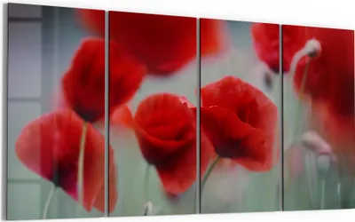 Produktbild von DEQORI Glasbild Echtglas 4x30x60 cm 'Mohnblütenzauber' Wandbilder XXL groß