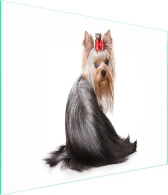 Produktbild von Robustes und hygienisches Glas Schneidebrett mit dekorativem Hund-Motiv, 52x30 cm