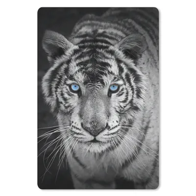 Produktbild von MuchoWow® Mauspad Mousepad Tiere - Tiger - Schwarz und weiß - Augen - Blau 18x27 cm - Mousepads - Maus Mat - Pad - Mausunterlage