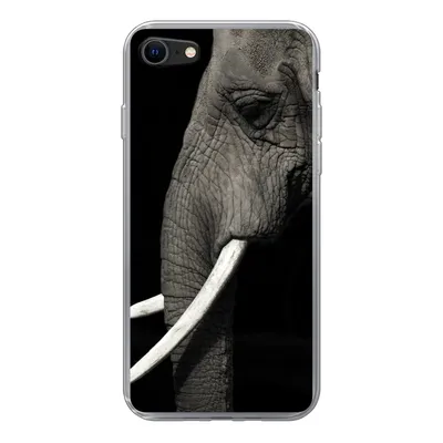 Produktbild von MuchoWow® Handyhülle Schutzhülle Hülle für iPhone 8 Elefant - Tier - Stoßzahn Silikon Softcase Handy Hülle - Schutzhaube