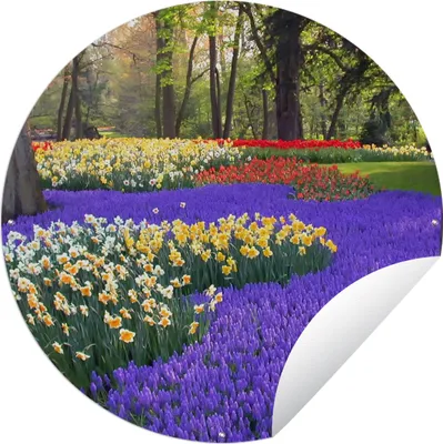 Produktbild von MuchoWow® Gartenposter Outdoor-Poster Rund Blumen auf dem Keukenhof in Südholland Ø 90 cm Gartendeko Rundes Poster draußen