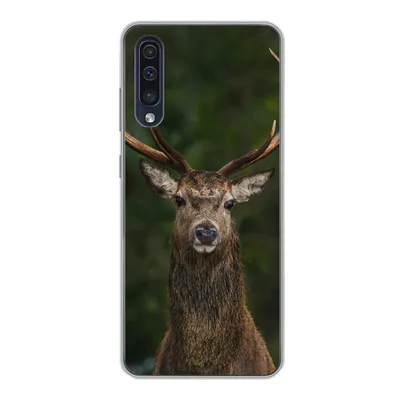 Produktbild von MuchoWow® Handyhülle Schutzhülle Hülle für Samsung Galaxy A30s Hirsch - Geweih - Natur Silikon Softcase Handy Hülle - Karteninhaber