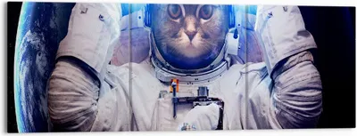 Produktbild von Bild auf Leinwand - Leinwandbild - Kosmonaut Katze - 150x50cm - Wand Bild - Wanddeko - Wandbilder - Leinwanddruck - Bilder - Kunstdruck - Wanddekoration - Leinwand bilder - Wandkunst - CA150x50-3734