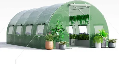 A green tunnel greenhouse with plants inside and outside.