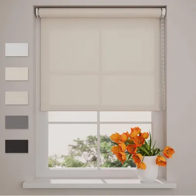 Produktbild von DTCH® – Easy Rollo Lichtdurchlässig – Sand – 180x275cm