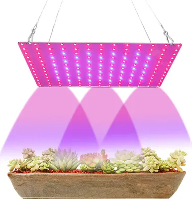 Produktbild von 169 LED Pflanzenlampe Grow Lampe Wachsen Licht Zimmerpflanzen Wachstumslampe Pflanzenlicht