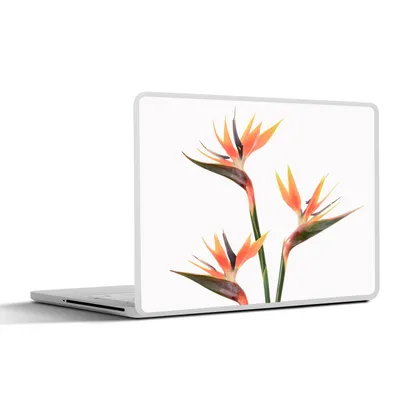 Produktbild von MuchoWow® Laptop Aufkleber Sticker Cover Blumen - Orange - Natur - Pflanzen 30x21 cm - Sticker für Laptop - Selbstklebend