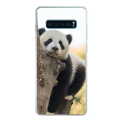 Produktbild von MuchoWow® Handyhülle Schutzhülle Hülle für Samsung Galaxy S10 Lite Panda - Baum - Licht Silikon Softcase Handy Hülle - Schutz