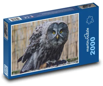 Obrázek produktu pro Puzzle 2000 Sova s výraznýma očima - martinpuzzle