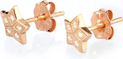 Produktbild von Karisma 1 Paar Damen Ohrstecker Silber Sterne Rosé-Gold 10mm Mit Zirkonia Steinen in Weiss HS-ERG12.RG