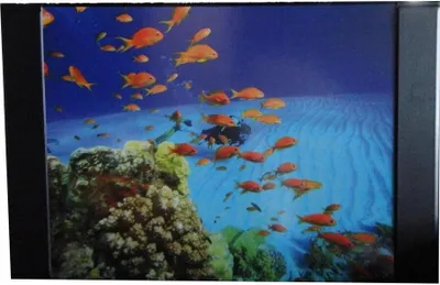 Produktbild von Schreibtischunterlage 68x44cm / mit Fische