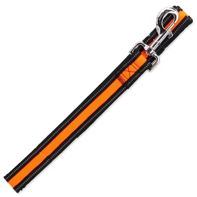 Obrázek produktu pro Vodítko Dog Fantasy Neoprene M/L oranžové 2,5x120cm