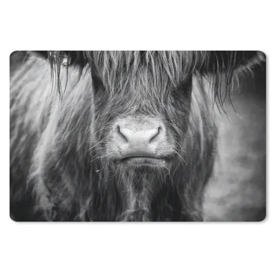 Produktbild von MuchoWow® Mauspad Mousepad Schottischer Highlander - Haare - Tiere 27x18 cm - Mousepads - Maus Mat - Pad - Mausunterlage - Büroartikel - Desk Matten