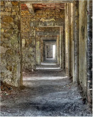 Produktbild von Wallario Poster - Weg durch eine verlassene Ruine, Kunstdruck Größe: 40 x 50 cm