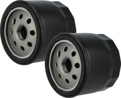 Produktbild von vhbw 2x Ölfilter Ersatz für Husqvarna 531307393, 531029786, 531 30 73-93, 531 02 97-86 für Rasenmäher - Ersatzfilter