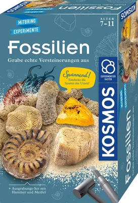 Produktbild von KOSMOS Fossilien