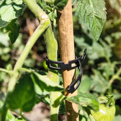 Obrázok produktu pre Bambusová tyč k rastlinám FloraSelf Tonkin cca 150 cm