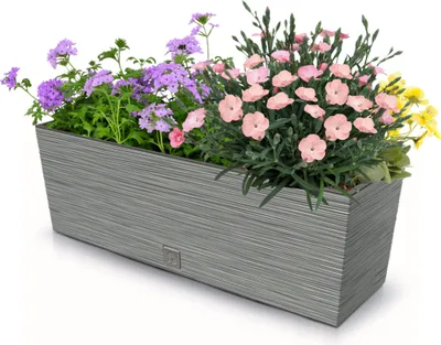 Produktbild von Blumenkasten Meißel Balkonkasten Pflanzkasten Grau L 58 cm mit Topf Einsatz Pflanzkübel Einzigartiger Blumentopf Kunststoff