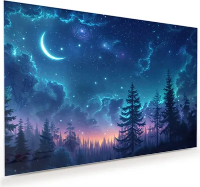 Produktbild von Glasbild 75x50cm in XXL für Wohnzimmer, Schlafzimmer Motiv Nachthimmel Wald