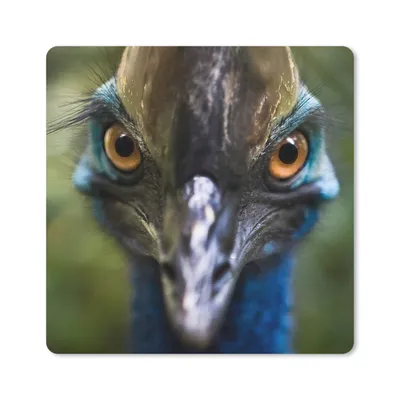 Produktbild von MuchoWow® Mauspad Mousepad Nahaufnahme eines Kasuars 20x20 cm - Mousepads - Maus Mat - Pad - Mausunterlage - Desk Mat - Bureauartikeln