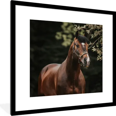 Produktbild von MuchoWow® Gerahmtes Poster Pferd - Äste - Porträt 40x40 cm - Poster mit Schwarzem Bilderrahmen Wandposter Rahmen Foto Bilder - Poster - Plakat im Rahmen