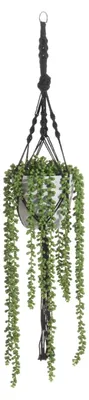 Image de Plante artificielle suspendue