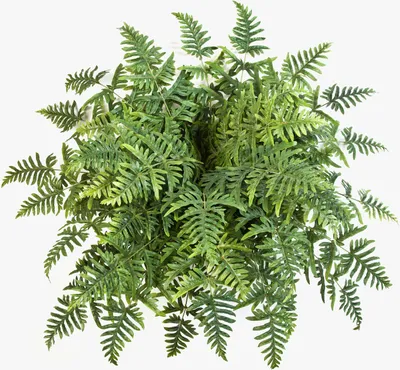 Produktbild von artplants.de Athyrium Farn Rene, 45 Blätter, grün, auf Steckstab, 75cm, Ø 90cm - Künstliche Pflanze - Kunst Farn