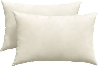 Imagen del producto de vidaXL: 2 cojines para sofá, color crema, 60 x 40 cm, tejido de cuerda