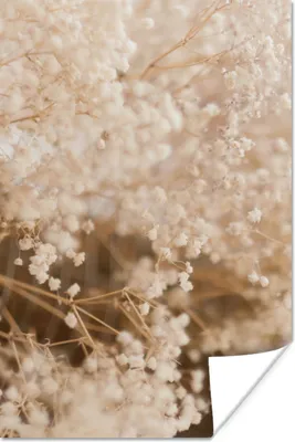 Produktbild von MuchoWow® Poster Pampasgras - Pflanze - Natur 120x180 cm - Kunstposter