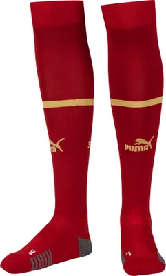 Produktbild von 39/42|Serbien PUMA Stutzen 765772-01