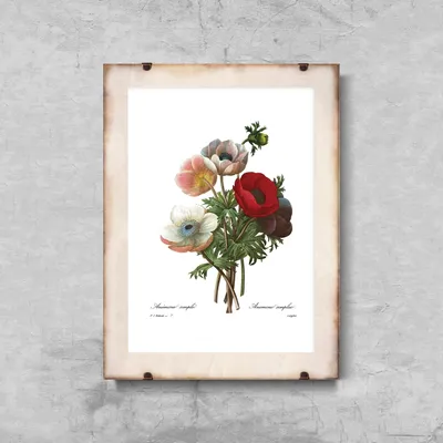 Produktbild von Poster - Canvas - Leinwand - 42 cm x 59,4 cm - Blumenmuster