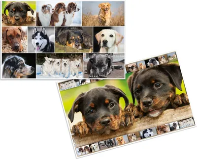 Produktbild von HERMA Schreibtischunterlagen Hunde Karton 55,0 x 35,0 cm, 3 St.