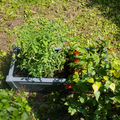 Produktbild von Pflanzkasten NYVIGreen 100x43x41 cm 110 Liter - Pflanzkübel aus wetterfestem & recyceltem Kunststoff, Farbe:Anthrazit