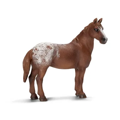 Produktbild von Schleich Appaloosa Stute