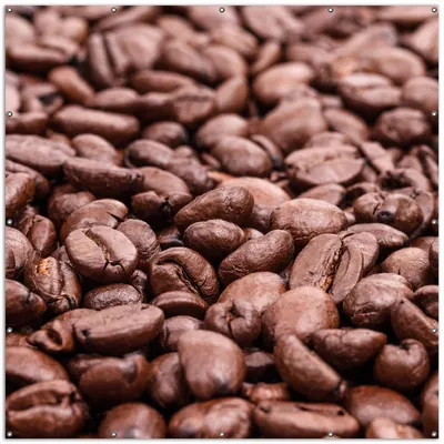 Produktbild von Wallario XXL Outdoor-Poster für Garten oder Balkon, Motiv Frisch geröstete Kaffeebohnen, in ca. 200 x 200 cm