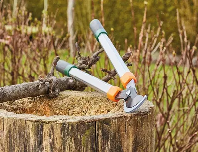 Obrázek produktu pro SIENA GARDEN Obvodové nůžky na větve J49428