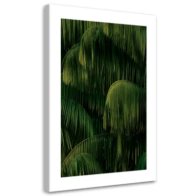 Produktbild von Leinwandbild Palmen nach dem Regen 70x100 Feeby Grün bild für die wand bereit zum aufhängen
