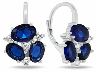 Immagine prodotto di Bellissimi orecchini in argento con zirconi blu scuro EA1182WB