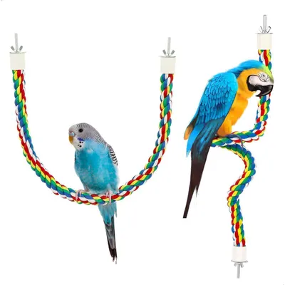 Image de 2 jouets pour oiseaux, cordes en coton colorées, 60 cm, pour perruches et petits oiseaux