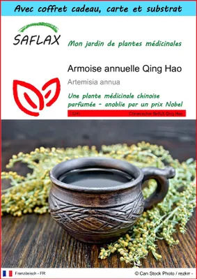 Image de SAFLAX Ensemble-cadeau - Armoise annuelle Qing Hao - 250 graines - Artemisia