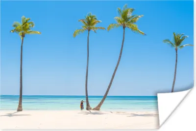 Produktbild von MuchoWow® Poster Meer - Palmen - Schatten 60x40 cm - Schlafzimmerdekoration