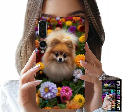 Immagine prodotto di Custodia Per Huawei P20 Plus - Simpatico Cane, Custodia Per Pomerania + Pellicola