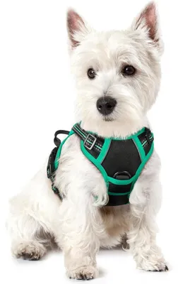 Image de Harnais pour chien anti-traction avec contrôle, réglable, respirant, avec bandes réfléchissantes, noir et vert, taille XS