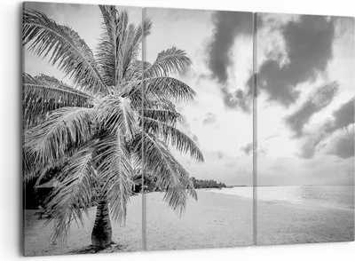 Produktbild von Bild auf Leinwand - Leinwandbild - 3 Teile - Monochrom Strand Wolken - 105x70cm - Wand Bild - Wanddeko - Wandbilder - Leinwanddruck - Bilder - Wanddekoration - Leinwand bilder - CE105x70-4677