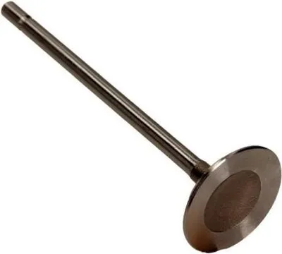 Obrázek produktu pro Sací ventil FRECCIA R6138/S