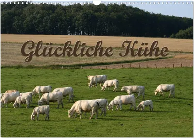 Produktbild von Glückliche Kühe (Wandkalender 2025 DIN A3 quer), CALVENDO Monatskalender